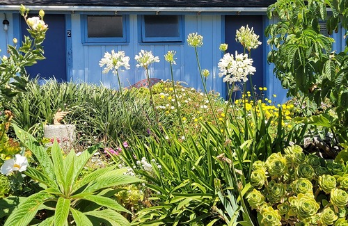 Mendocino Apartment | Mendocino Garden Studio #2, Full kitchen