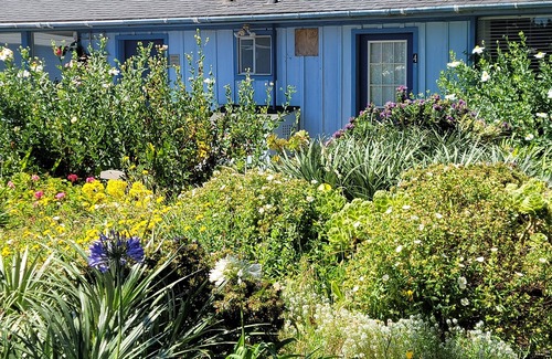 Mendocino Apartment | Mendocino Garden Studio #4, Full kitchenn
