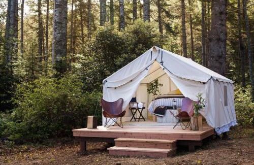 Mendocino Other | Mendocino Grove