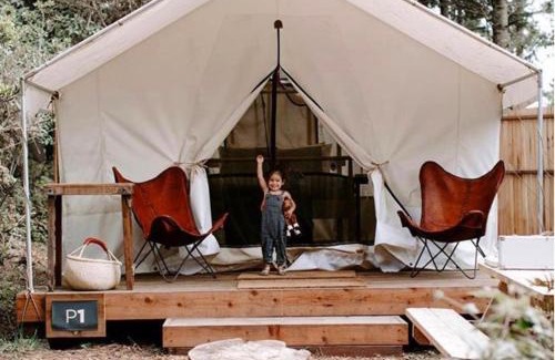 Mendocino Other | Mendocino Grove
