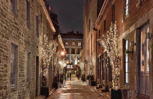 Old Montreal Apartment | Mercer |Elegant 2Bds-1BA|Old Mtl