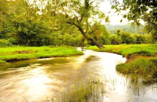Somvarpet Resort | Meriyanda Nature Lodge - Coorg