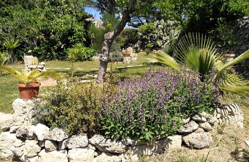 Castromediano Villa | Messapi Estate - MESSAPICA