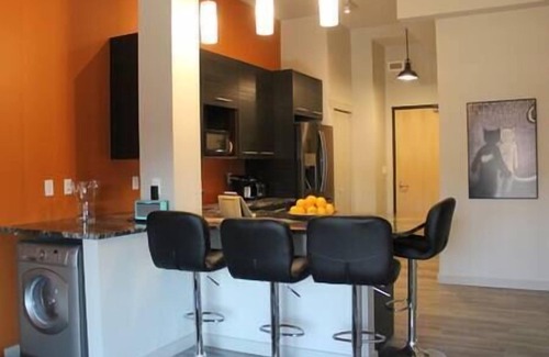 Red Deer Apartment | Metropolitan Loft 201