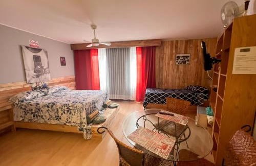 Nouvelle Ville Apartment | Metz gare arènes centre ville studio 40m2