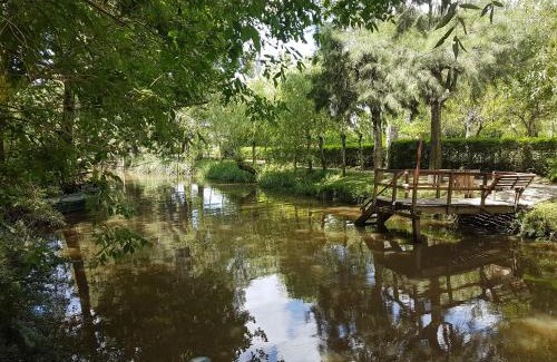 Partido de Tigre House | Mi Refugio Cabaña