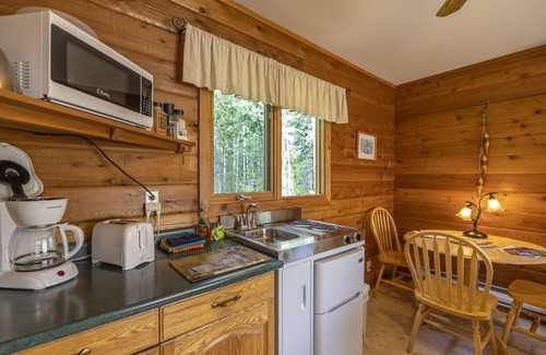 Tete Jaune Cache Hotel | Mica Mountain Lodge & Bear at Mt Robson Park near Jasper National Park