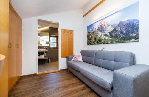 Flachau Apartment | Michis Aparthotel