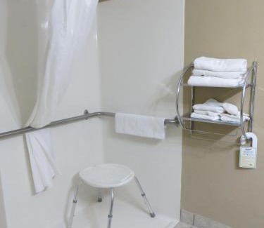 Lincoln Hotel | Microtel Inn & Suites Lincoln