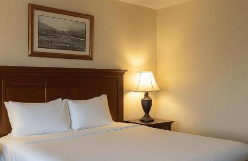 Saskatoon Hotel | Midtown Inn