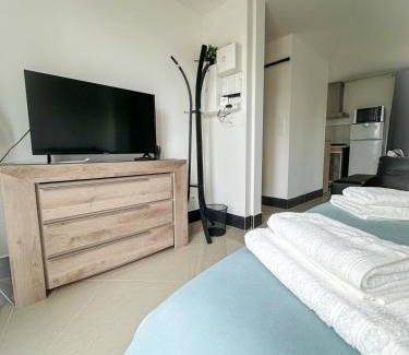 Amboise Apartment | MikeS Amboise