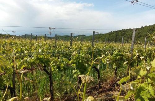 Sgonico House | Milic Zagrski