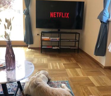 Sankt Paul im Levanttal Apartment | MILLIEs hosting - Familienurlaub mit Hund in Kärnten