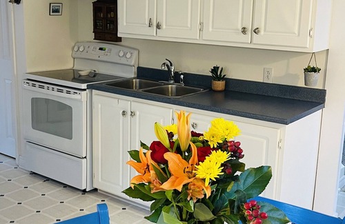 Bauline Cottage | Million Dollar View! Ocean Front, 3 Bedroom Cottage, 15 Min. from St. John's