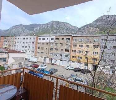 Baile Herculane Apartment | Mim's Home