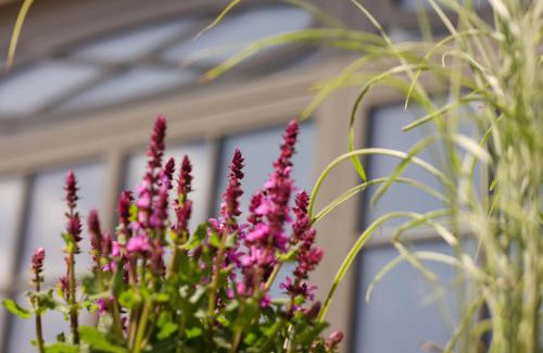 Westerland Hotel | Mimosa Hotel