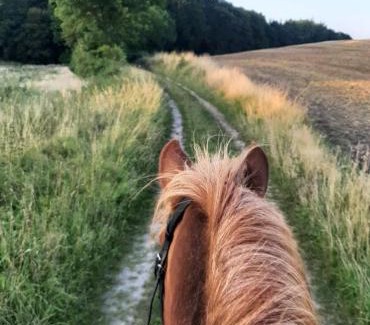 Baring Apartment | Mini-lejlighed med køkken - deler bad og toilet med nabolejlighed 1