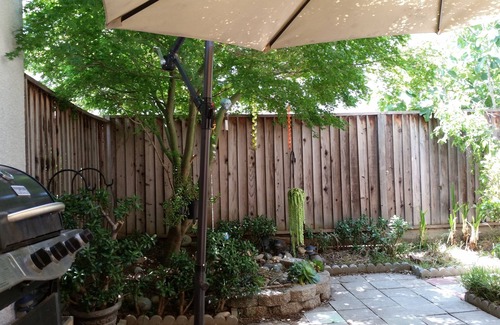 Santa Clara Apartment | Mini-studio, Walking distance to Levi's Stadium, Santa Clara