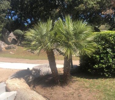 Porto-Vecchio Apartment | MINI VILLA entre mer et montagne PALAVESA