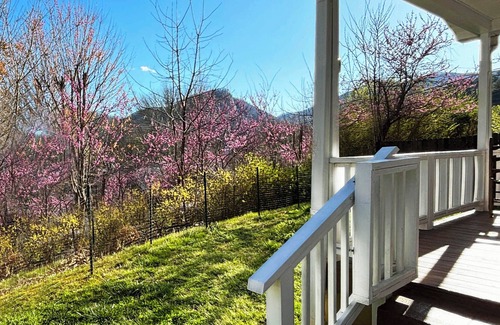 Dillsboro House | Miraflor Guest House, family and pet friendly