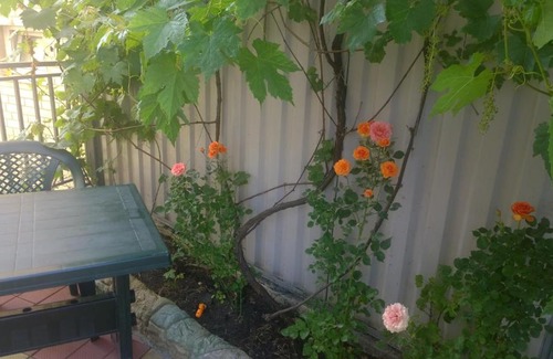 Lazarevskoye House | Mirny Hotel