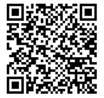 Moskovskiy Hotel | MISHKA HOTEL