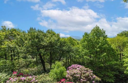 Blowing Rock House | Misty Ridge Retreat