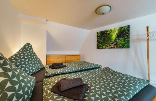 Bad Schandau Apartment | MittenDrin