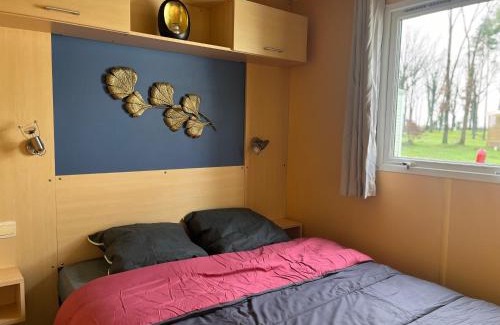 La Boissiere-de-Montaigu Other | Mobil home 6 personnes - puy du fou