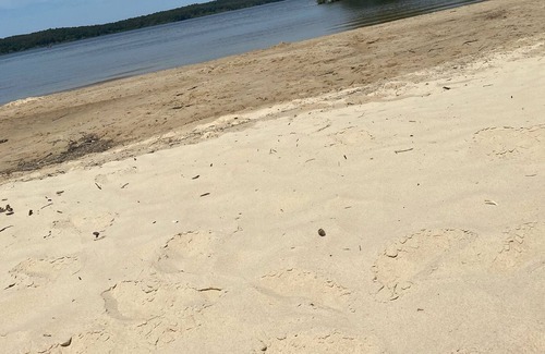 Gastes House | Mobil Home 3 Chambres 2020 Neuf