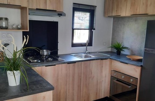 Saint-Julien-en-Born Apartment | Mobil home neuf, tout confort, aux Dunes de Contis