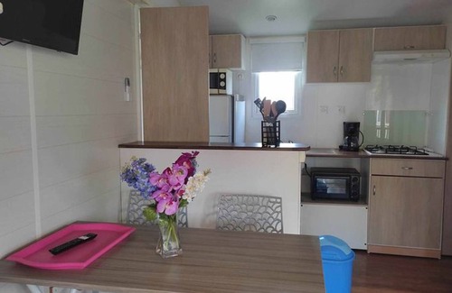 Massillargues-Attuech House | Mobile home - 4 pax, Terrace in Anduze