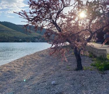 Grebastica Other | Mobilna kućica Emma - Grebaštica, kamp Vala