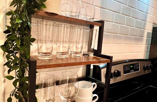 Charlotte Condo | Modern 1BR Condo with Gym WiFi and Dog Park Near NoDa and Uptown