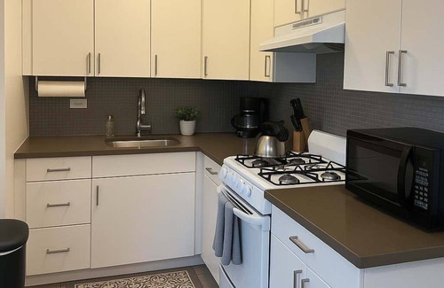 East Hyde Park Apartment | Modern 1BR in Historic HydePark