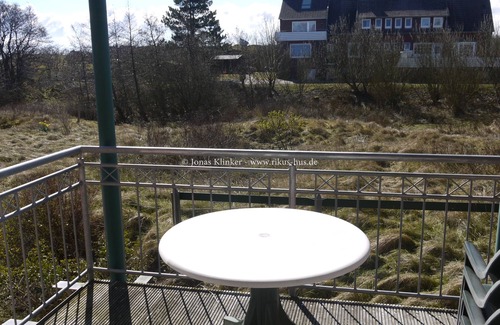 Baltrum Condo | Modern 2-room apartment in the quiet East Village with views of the nature reserve