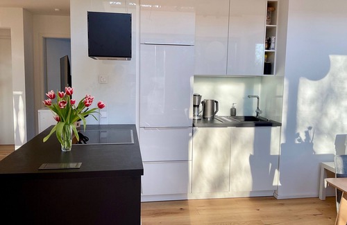 Garmisch-Partenkirchen Apartment | Modern apartment #1 with private sauna and bathtub