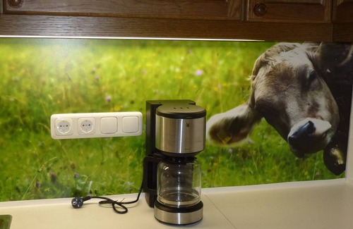 Groissenbach Apartment | Modern apartment, winter sports within walking distance, feel-good guarantee, WiFi
