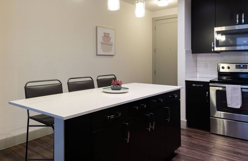 South Lamar Apartment | Modern Apartment in Prime Location (ID4422X42)