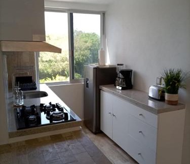 Dario Galeana Apartment | Modern apartment in the Ixtapa hotel area