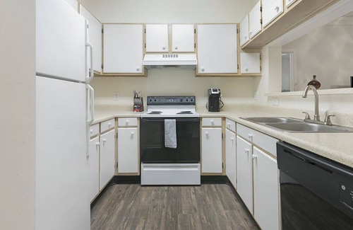 Winston - Salem Apartment | Modern Apartment in Prime Location (ID1234X500)