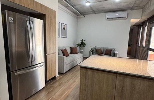 Lafayette Apartment | Modern apt in Col Americana