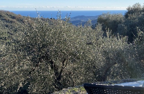 Vasia House | Modern architect's house in olive grove with sea views