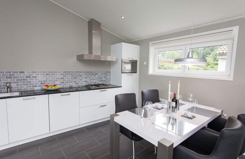 Dordtse Biesbosch Ski Chalet | Modern chalet near Biesbosch