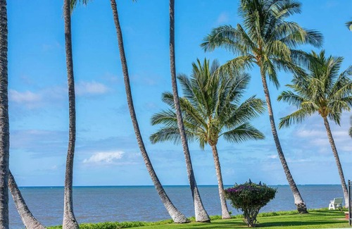 Kaunakakai Condo | Modern Hawaii Style w/Kitchen, WiFi, Lanai–#205