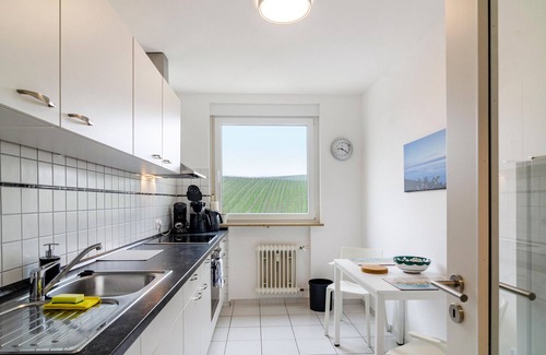 Meersburg Apartment | Modern Holiday Apartment "Alex" with Wi-Fi and Balcony