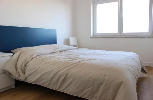 Beato House | Modern Homestay with River Views, Sunrise & Friendly Cats