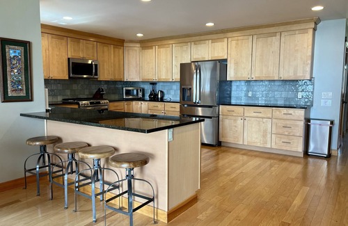 Cheboygan County House | Modern Lakefront Home on Burt w/Optional Pontoon