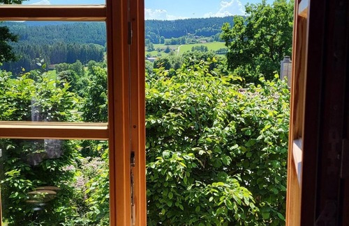 Geiersthal Apartment | Modern mountain hut with large wooden veranda