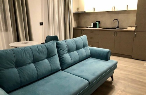 Dumbravita Apartment | Modern New and Elegant Apartment -PNM Residence D1